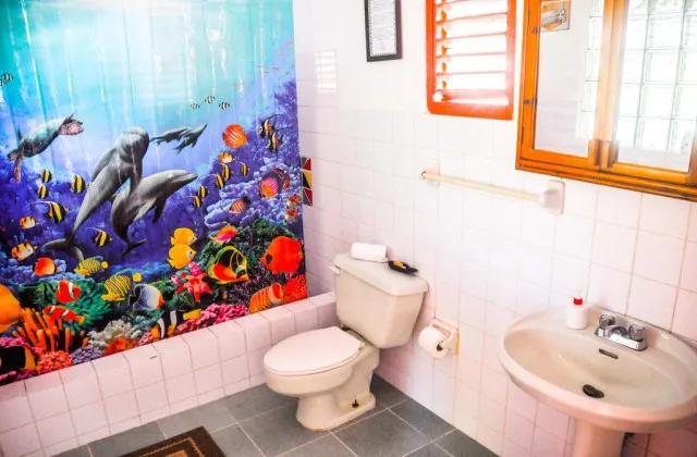 Guesthouse Casa Delfin Las Terrenas room bathroom